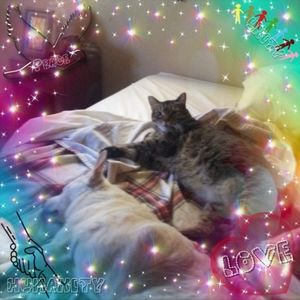 Meet your Posher, Sherrie